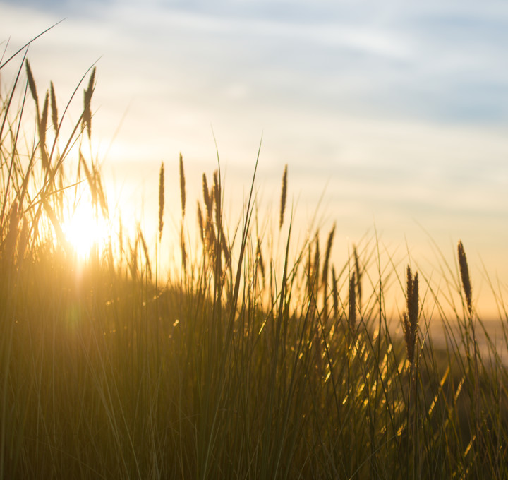 Ameland voor families