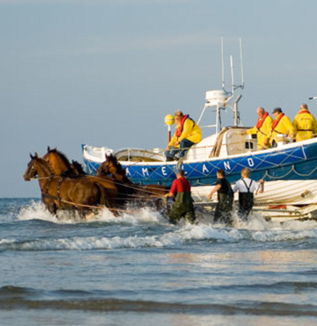 Groepsverblijven vakantie waddeneiland Ameland