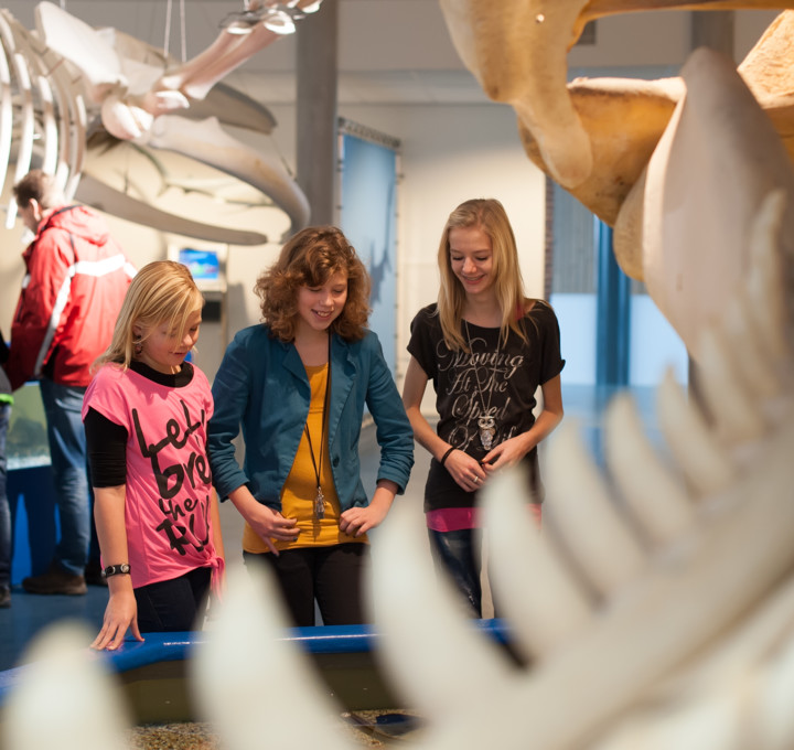 Ameland voor scholen